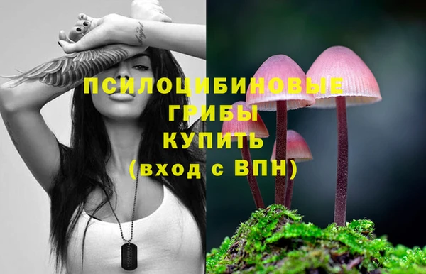 марки lsd Алзамай